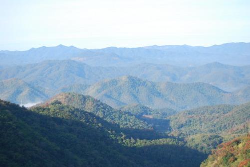DSC_0110aa.jpg