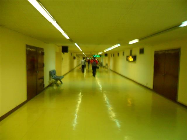 SAM_1696 (Small).JPG