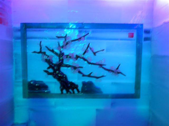 SAM_1529 (Small).JPG