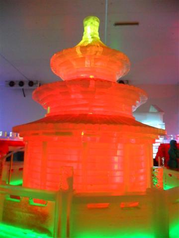 SAM_1482 (Small).JPG