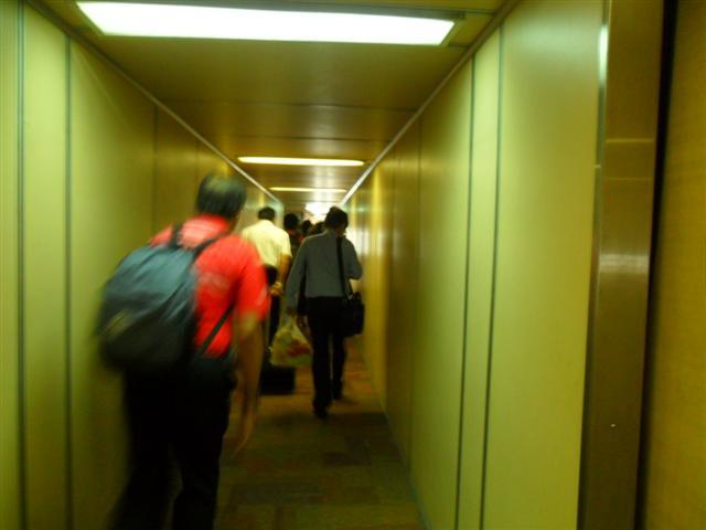SAM_1695 (Small).JPG