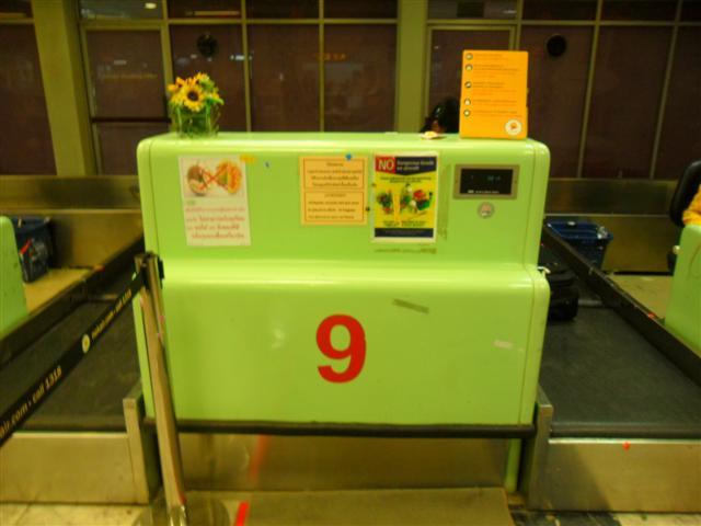 SAM_1570 (Small).JPG