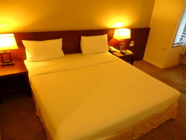 SAM_1453 (Small).JPG