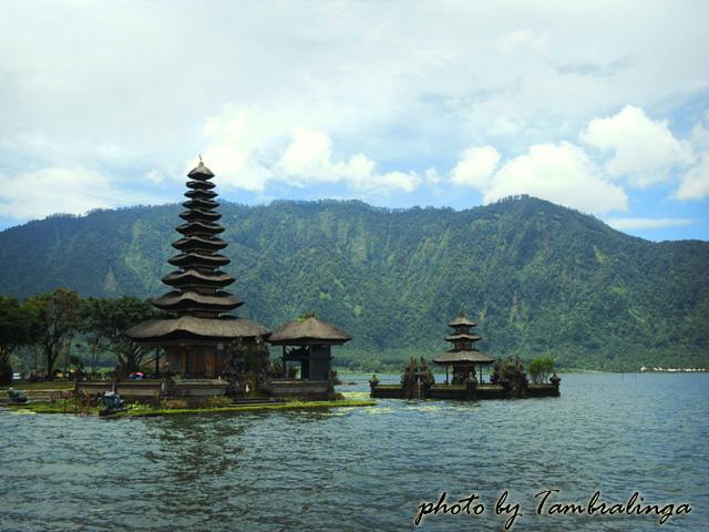 SDC14564.jpg