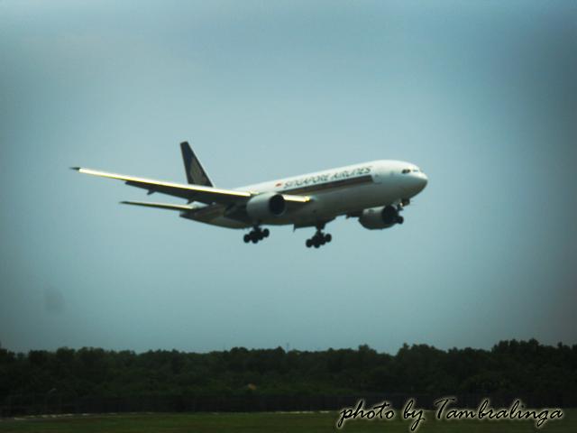 SDC14698.jpg