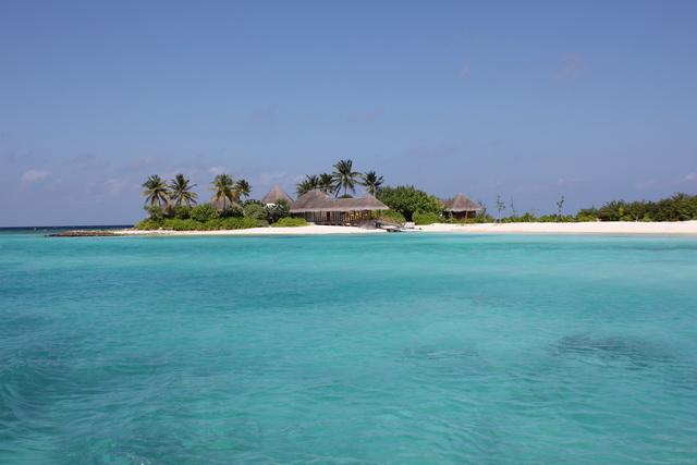 IMG_2537_resize.JPG