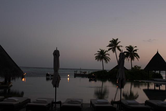 IMG_2886_resize.JPG