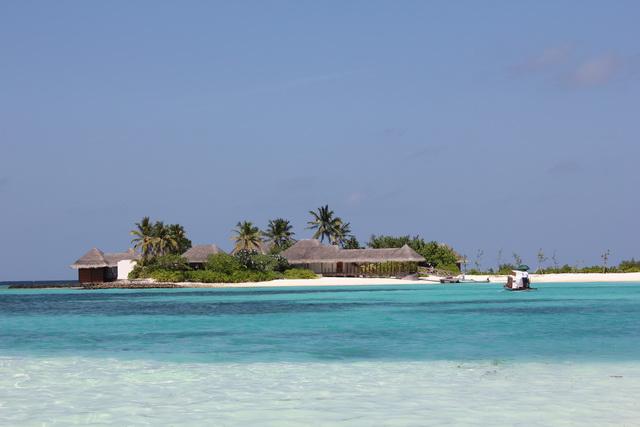 IMG_2681_resize.JPG