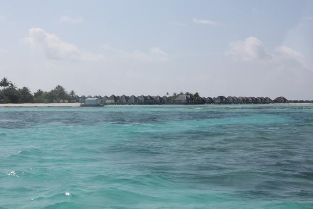 IMG_2531_resize.JPG