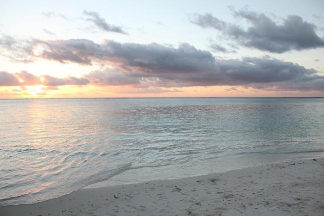 IMG_3132_resize.JPG