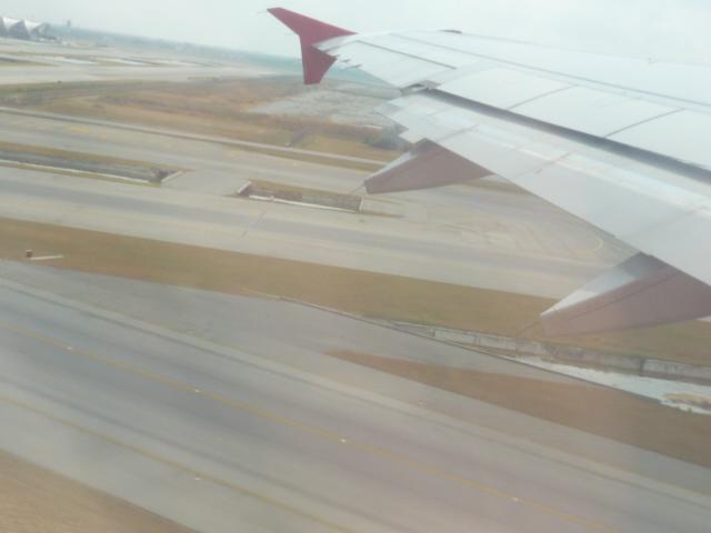 P1040393.JPG