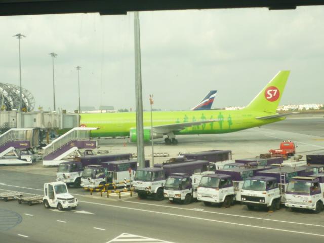 P1040363.JPG