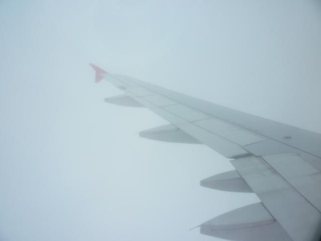 P1040430.JPG