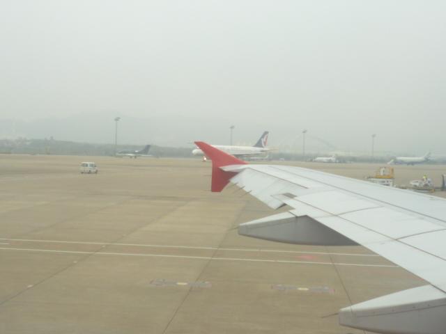 P1040458.JPG