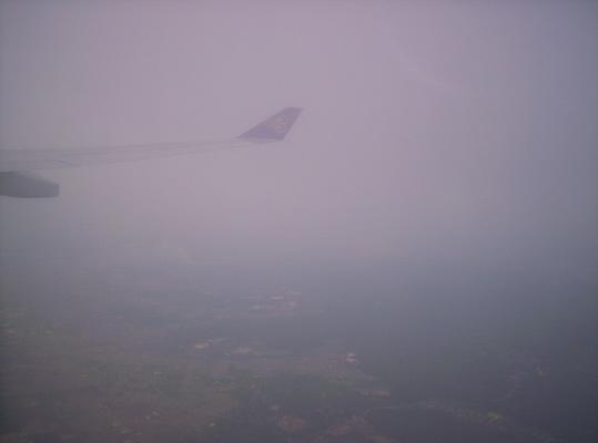 100_6344_resize.JPG