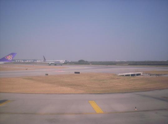 100_6318_resize.JPG