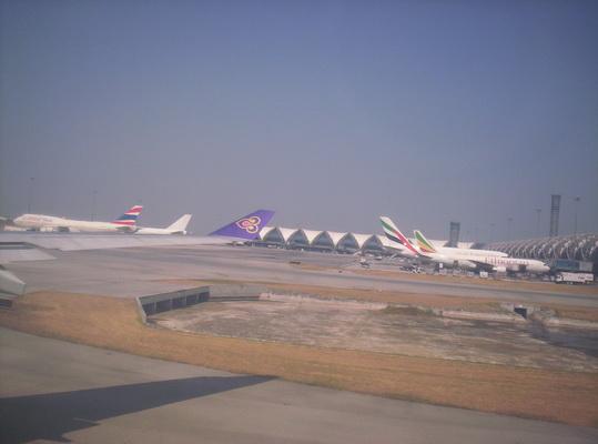 100_6316_resize.JPG