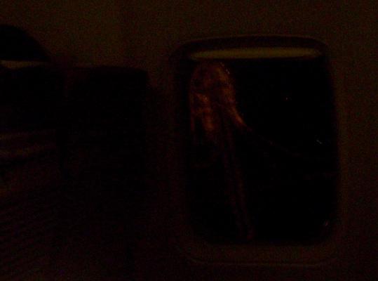 100_6503_resize.JPG