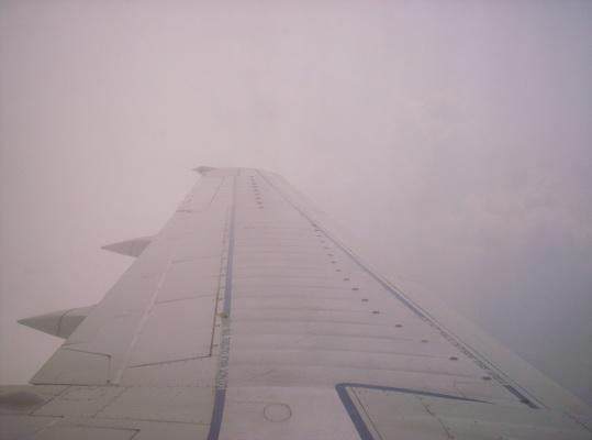 100_6553_resize.JPG