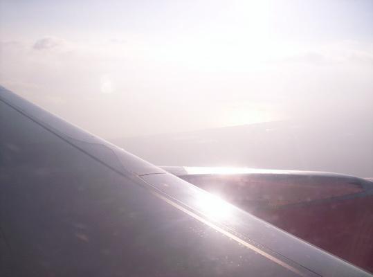 100_6680_resize.JPG