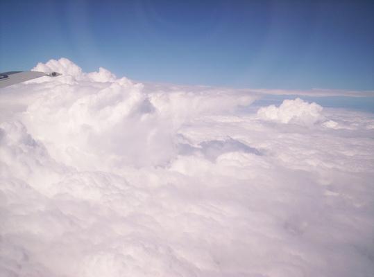 100_6457_resize.JPG