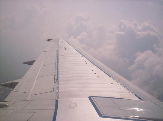 100_6554_resize.JPG