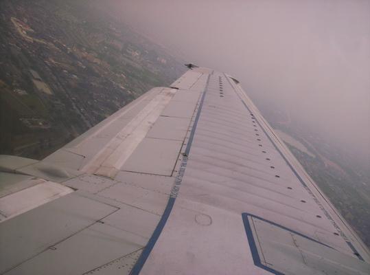 100_6552_resize.JPG
