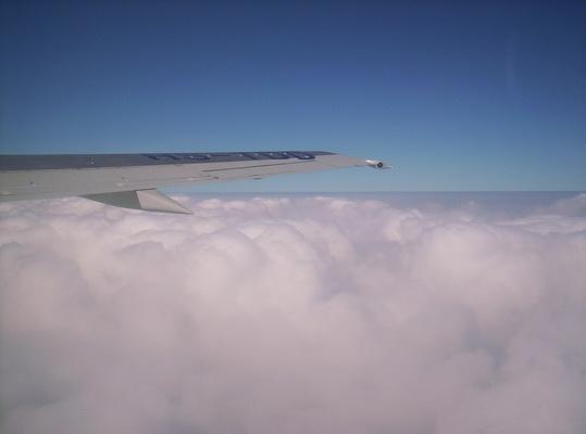 100_6452_resize.JPG