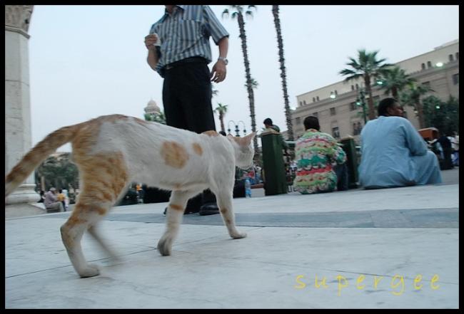 Egypt_236.jpg