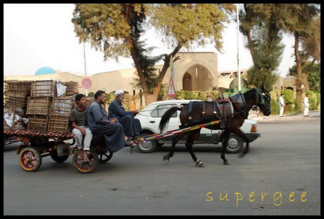 Egypt_234.JPG