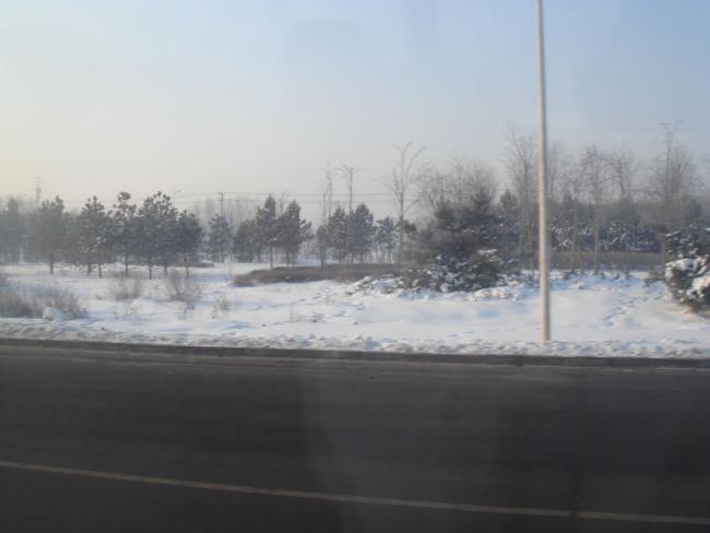 DSC03136.JPG