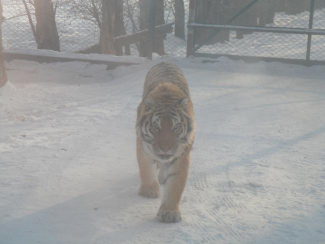 harbin12.jpg