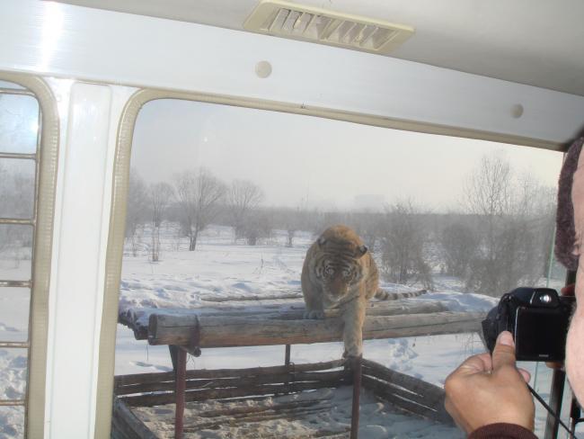 harbin15.jpg