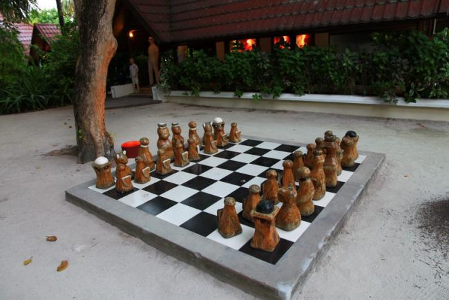 295.JPG