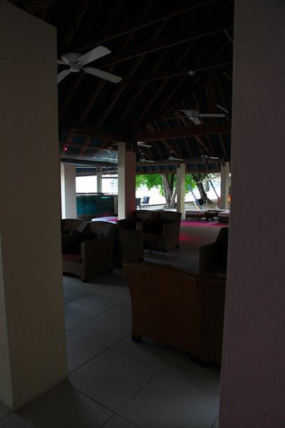 290.JPG
