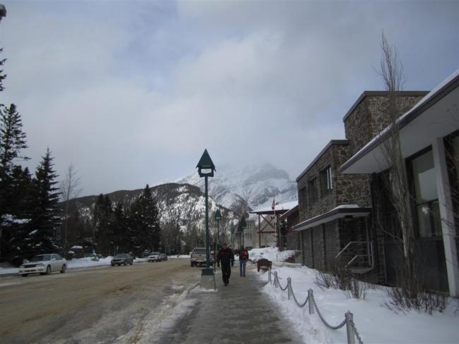 IMG_0890 (Large).JPG