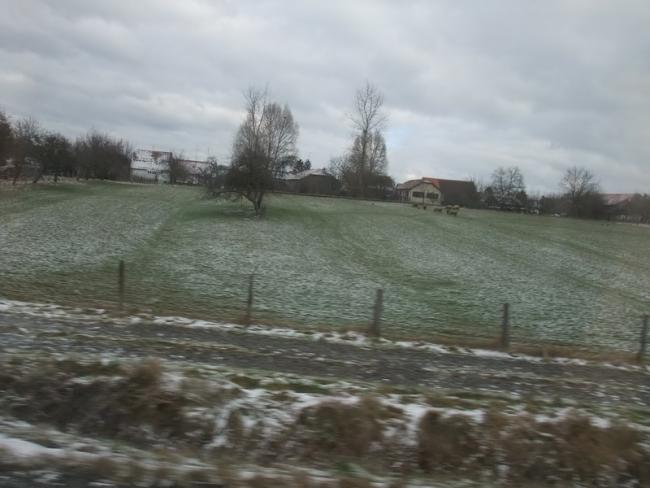 075_resize.JPG