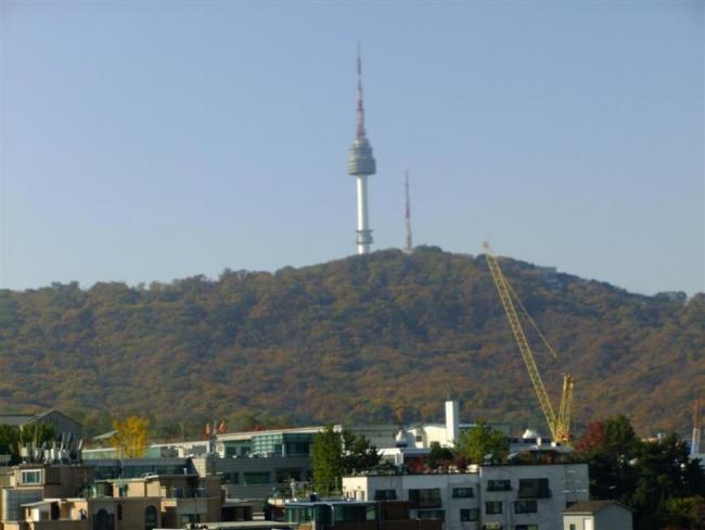 DSCF0334 (Medium).JPG