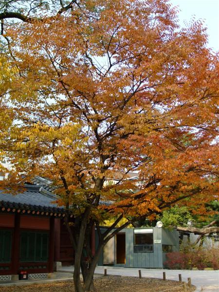 DSCF0632 (Medium).JPG