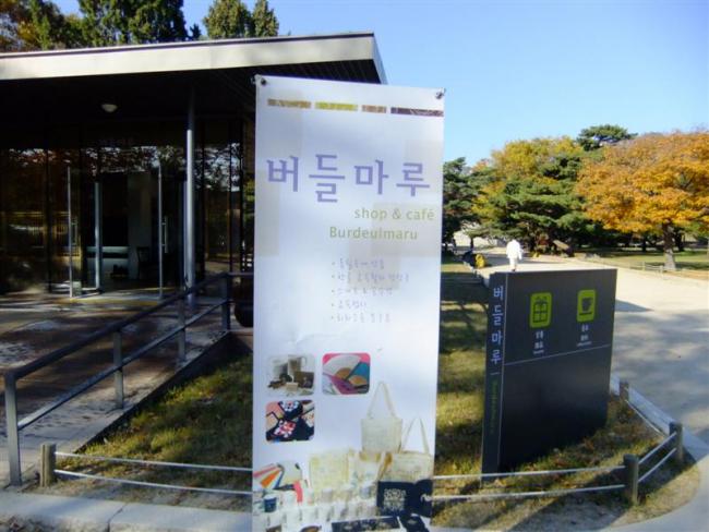 DSCF0441 (Medium).JPG