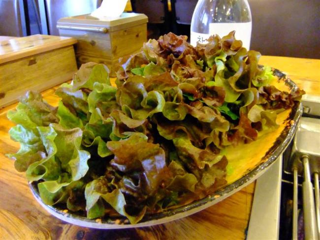 DSCF0338 (Medium).JPG