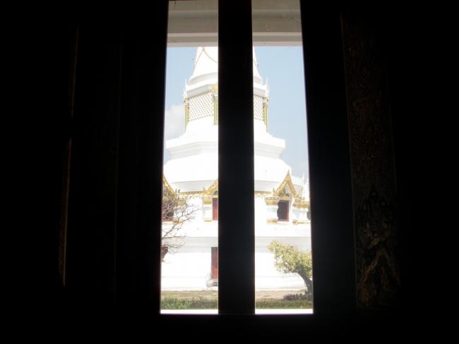 P2180014_resize.JPG
