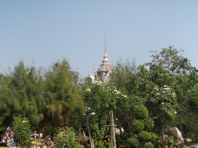 P2180117_resize.JPG