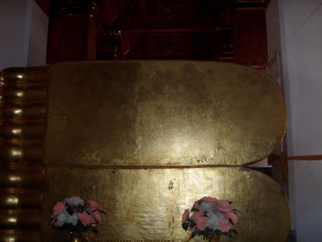 P2180057_resize.JPG