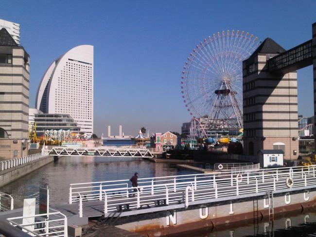 IMG-20110118-00137.jpg