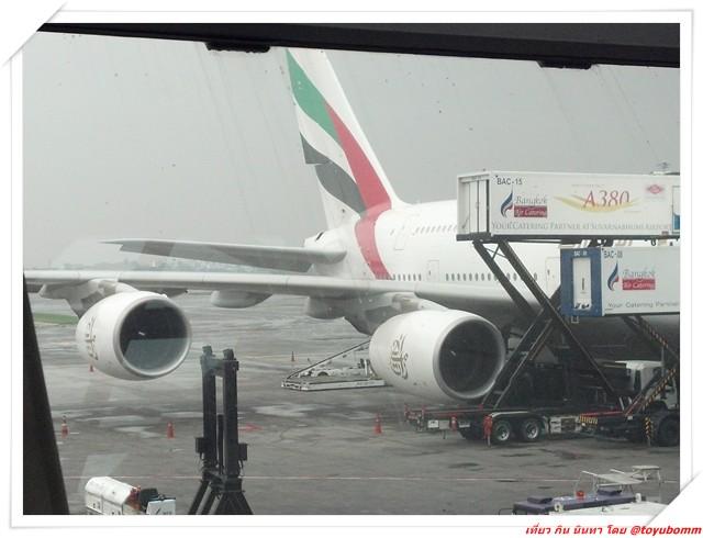 380A020.jpg