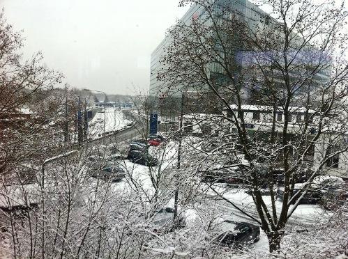 IMG_9728.JPG