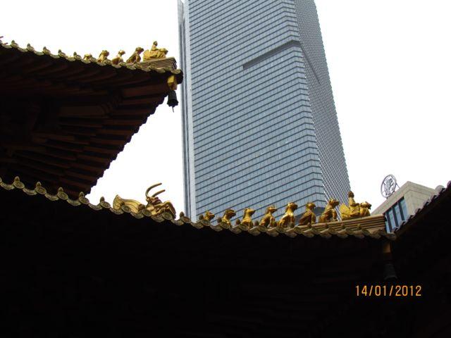 IMG_2772.jpg