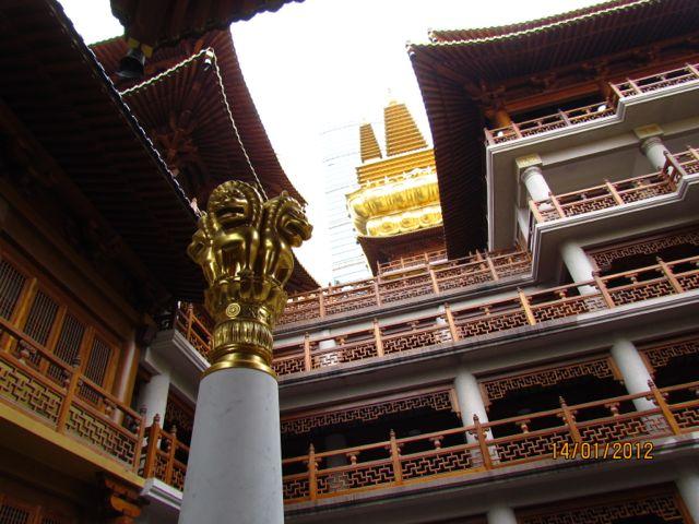 IMG_2783.jpg