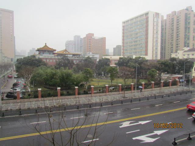 IMG_4448.jpg